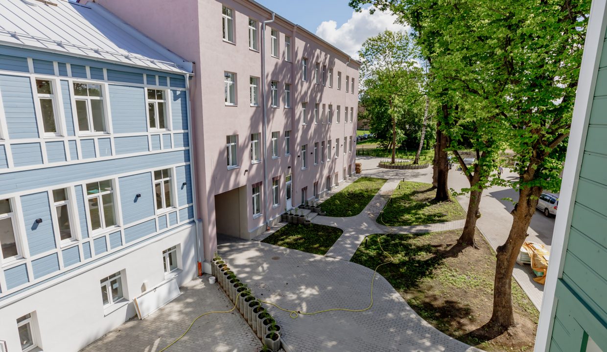 Katrīnas pagalms - jaunais projekts